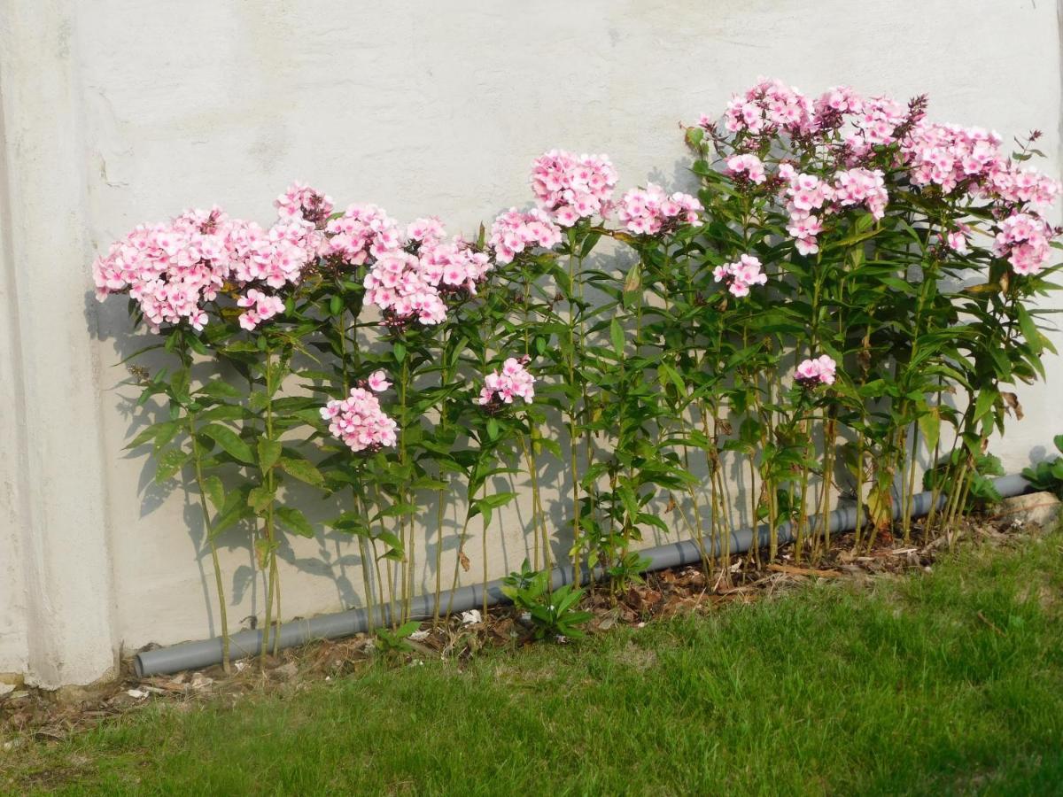 Ferienhaus Vakantiewoning Louis *