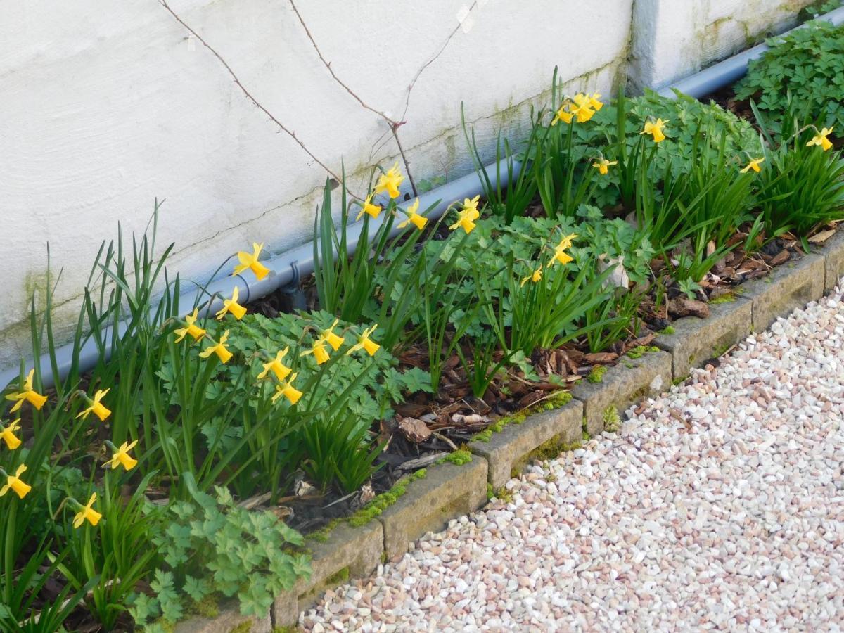 Vakantiewoning Louis Mechelen
